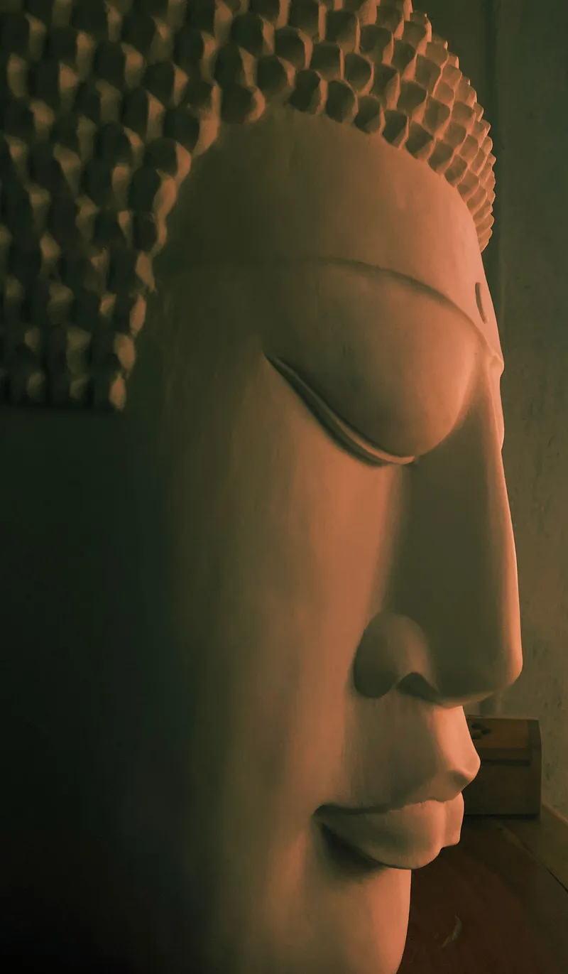 Professional shamanic healing setup at Rajaaram