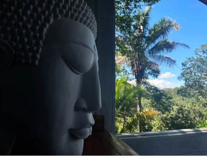 Reset Express Journey — conscious pause and bodily presence for two